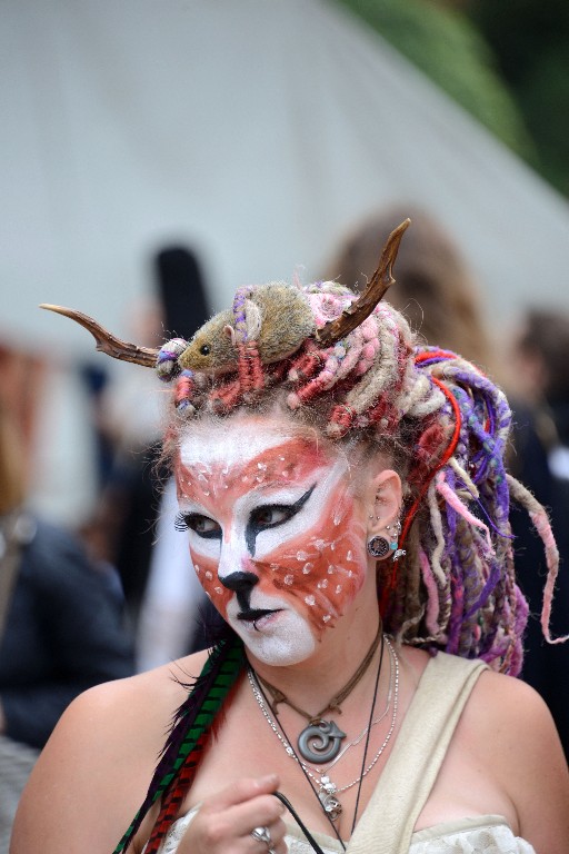 ../Images/Castlefest 2016 Zondag 043.jpg